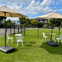 山梨県 フルーツ体験事業