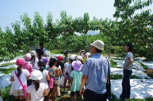 DSC00212x.jpg